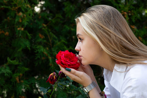 istock Blonde young woman holding a blooming red rose bud with both hands 1702049610