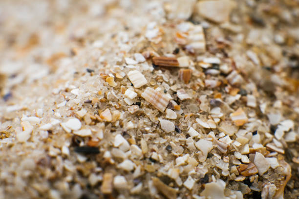 istock Sand and small particles of shells on the seashore 1702109108