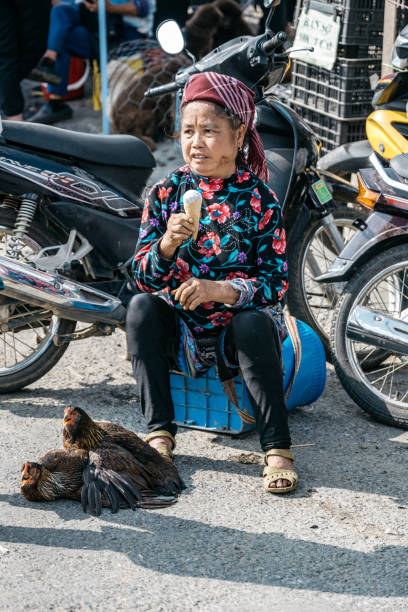 donna indigena con galline viventi che mangiano il gelato al mercato di bac ha - vietnam vietnamese culture vietnamese ethnicity north vietnam foto e immagini stock