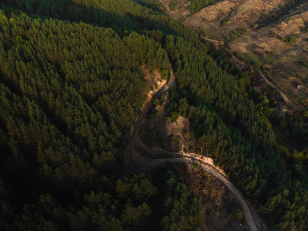 istock A curvy road in the forest leading to the mountains 1702136123