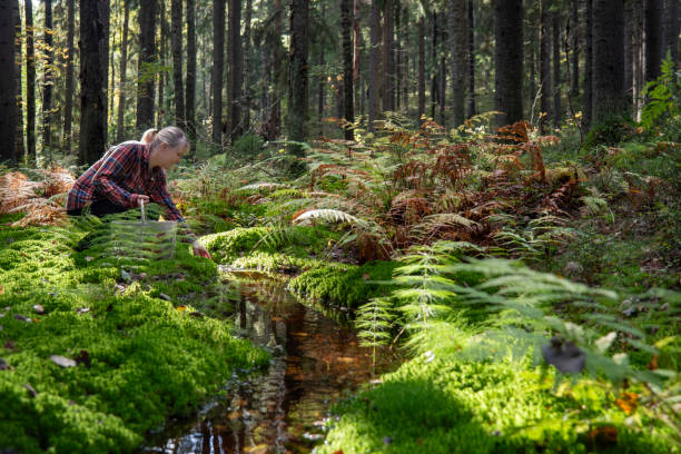 istock Woman in forest near small stream 1702142238