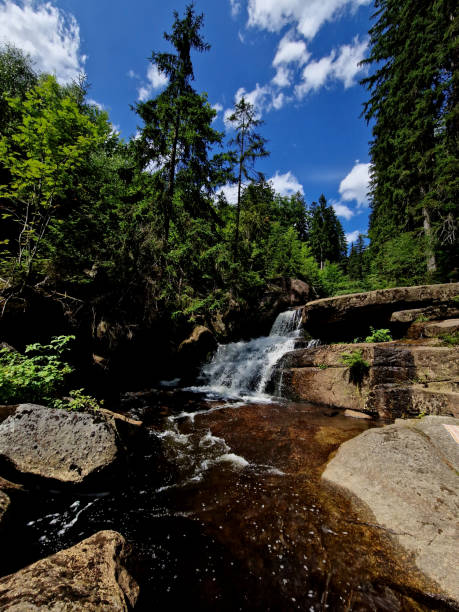 istock impenetrable gorges with waterfalls in the Nordic wilderness. logging is impossible here, mechanization will not get here. a groove from the trunk along which a trickle of water flows 1702172860