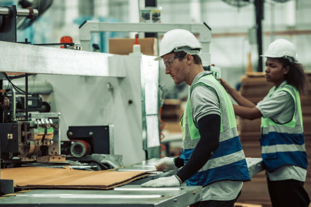 istock The tech prepare cardboard sheet with precision before automating production in the paper factory. 1702174482