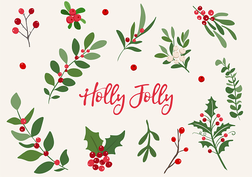 Happy holiday winter branch background. Vector illustration