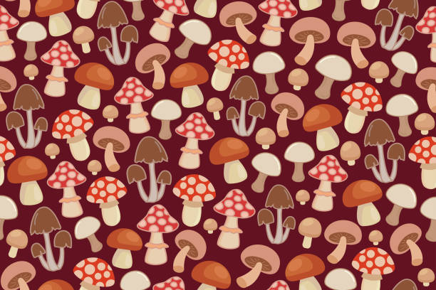 ilustrações, clipart, desenhos animados e ícones de padrão de cogumelos - mushroom edible mushroom red botany