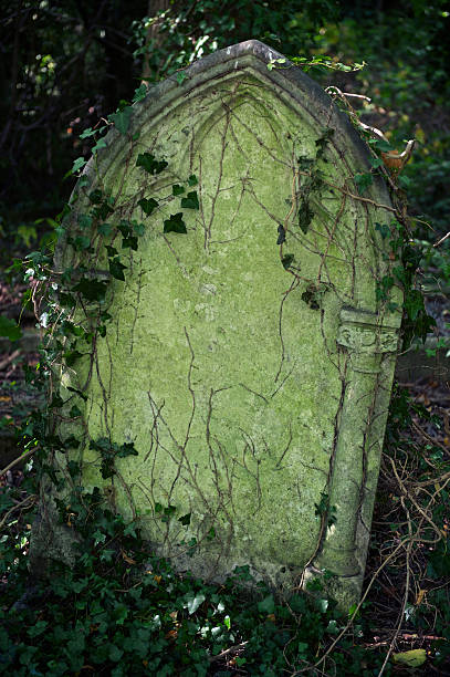 istock Halloween Tombstone Vine Covered Graveyard Cemetery 170219053