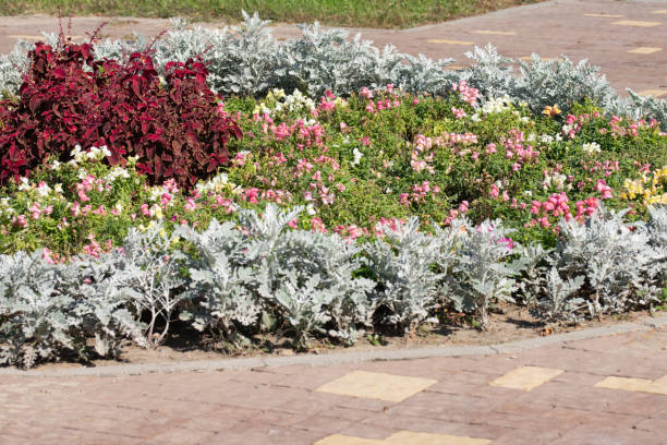 istock flowered with colorful flowers and plants 1702196730