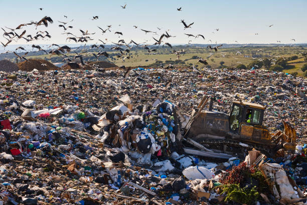 istock Heavy machinery shredding garbage in an open air landfill. Pollution 1702206537