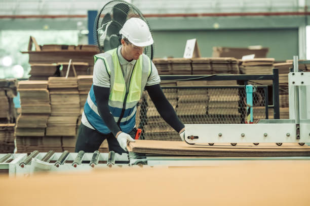 istock The tech prepare cardboard sheet with precision before automating production in the paper factory. 1702218355