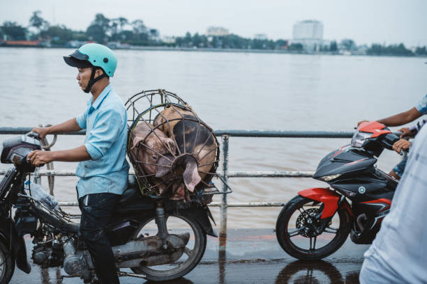 A market trader with his stock of homewares balancing on the back of his motorcycle - on the route between Hanoi and Halong Bay, Vietnam,