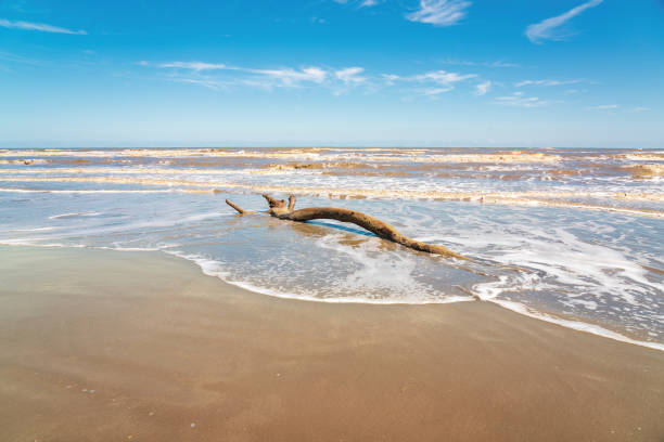istock Amazing snag on the seashore 1702226034