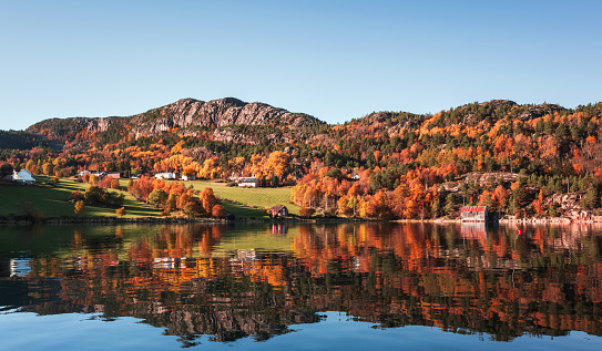 Norwegian autumn landscape with coastal forest and reflections in still water. Snillfjord, Sor-Trondelag, Vingvagen