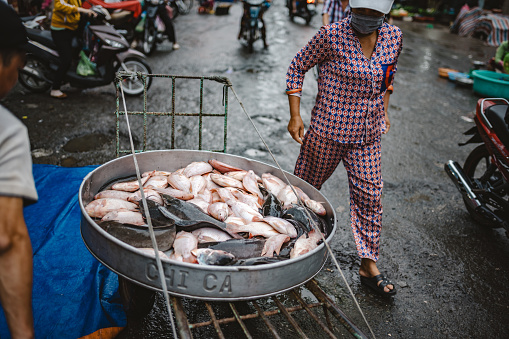 vinh long, south vietnam,  - November 4, 2022:woman looking at  large pod with fresh fish at street market in the Mekong Delta, Vietnam