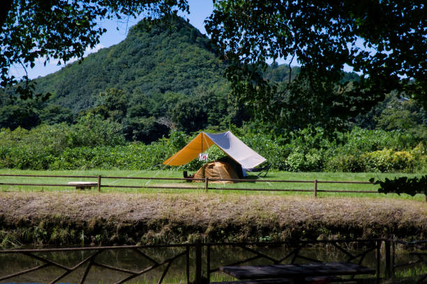 istock Campsite rich in nature on a sunny day 1702253238