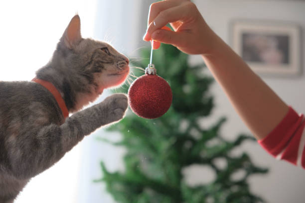 istock Christmas holiday in home. 1702258191