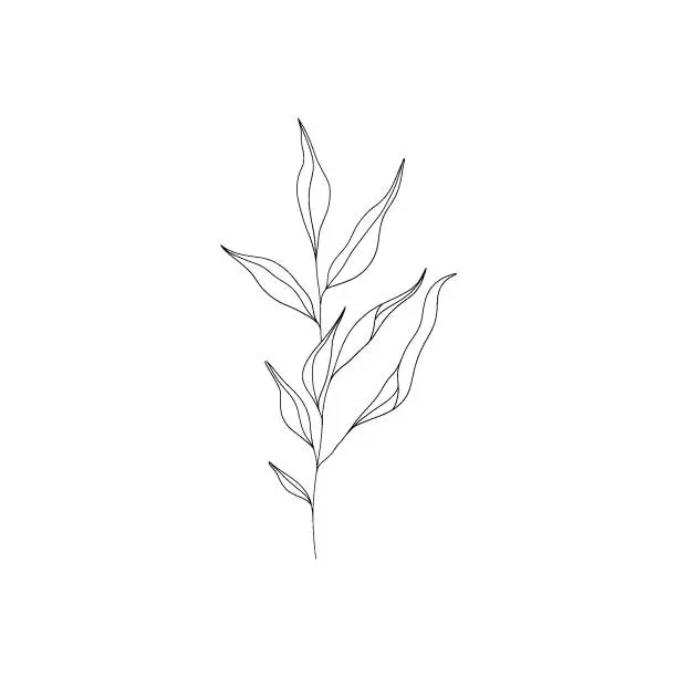 Vector illustration of Minimalist linear flower branch. Small ornamental floral element, tiny fine line botanical leaves, tattoo sketch. Vector art