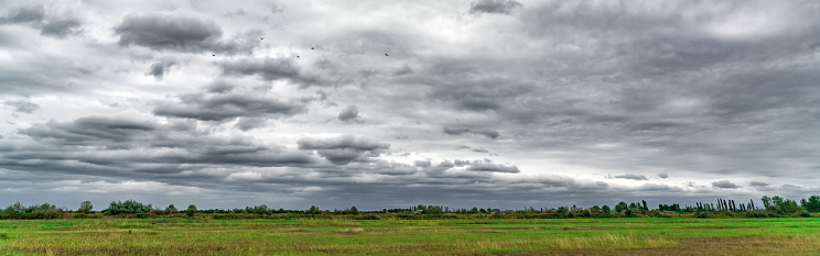 Panoramic view to green field with thunder clouds