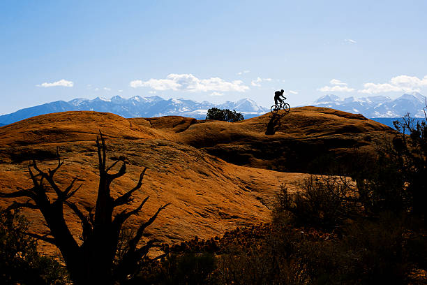 Moab Slickrock Trail A male mountain biker rides the Slickrock Trail in Moab, Utah, USA. slickrock trail stock pictures, royalty-free photos & images