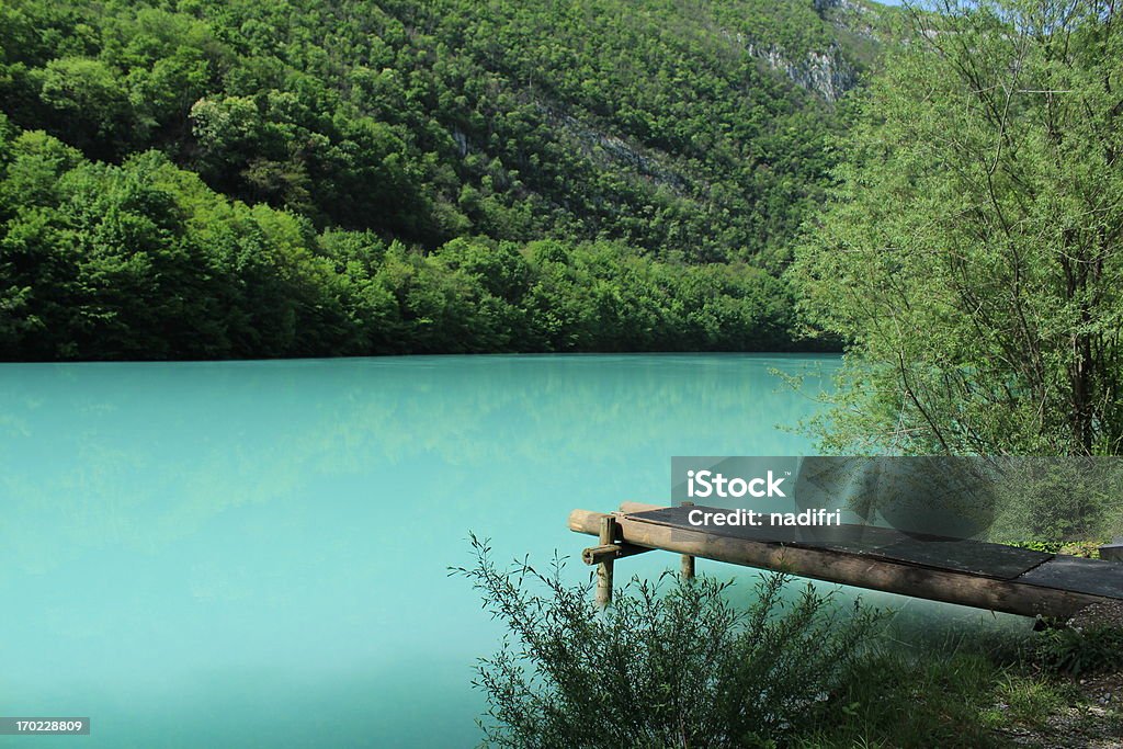 idylisch River landscape in Slovenia Animal Migration Stock Photo