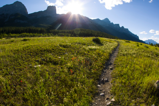 A popular singletrack trail popular with mountain bikers, hikers and runners in Alberta, Canada.