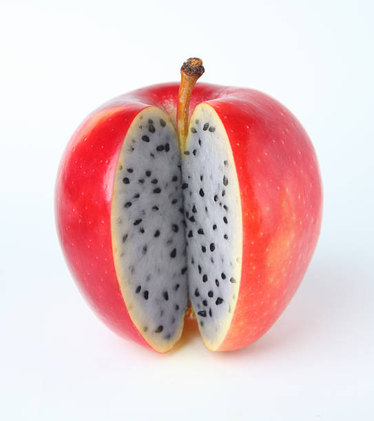 apple lub dragon owoców - apple fruit surreal bizarre zdjęcia i obrazy z banku zdjęć