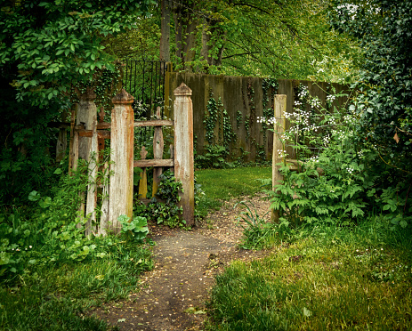 A path and gate leading out of a churchyard in Lavenham, Suffolk, Eastern England, with spring leaves, flowers and grass.