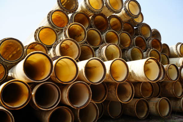 China Packaging Coating Market Insights: Regional and Segmental Analysis China Packaging Coating Market Insights: Regional and Segmental Analysis
