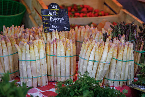 Fresh locally grown white asparagus for sale at a farmers market on Place Broglie Square in the historic center of Strasbourg, Alsace, France