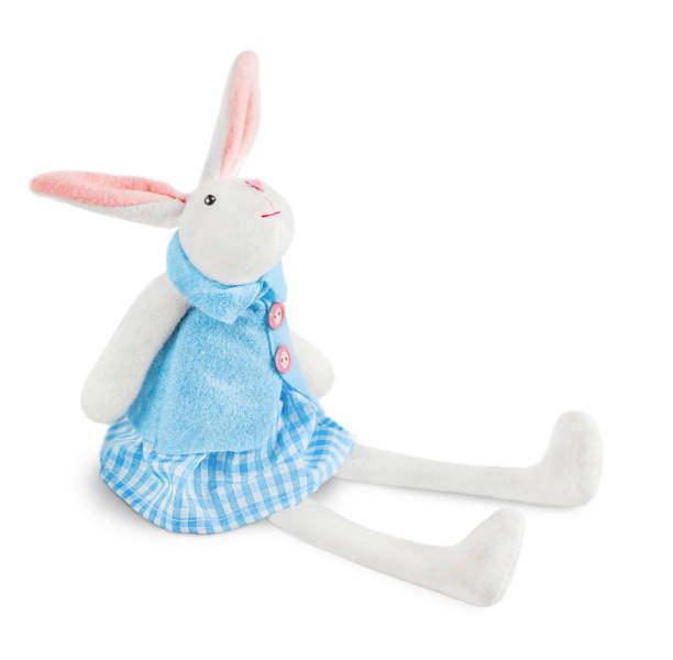 istock one stuffed toy a white rabbit in a blue suit is highlighted on a white background 1702326233