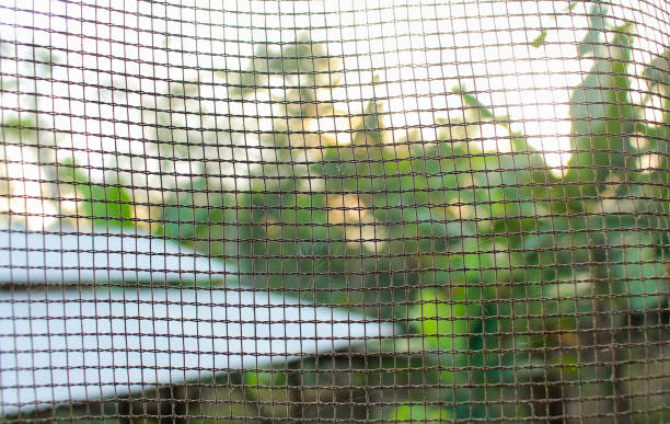 istock Jambi, Indonesia; checkered net background with sunlight behind it 1702329061
