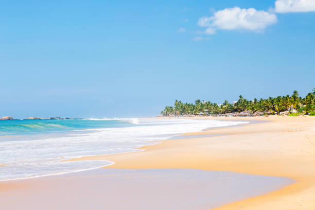 istock Tropical beach with palm trees and blue sky in Hikkaduwa. 1702333413