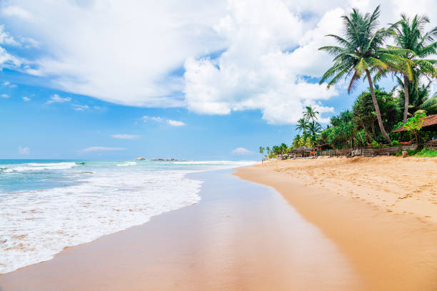 istock Tropical beach with palm trees and a blue sky in Hikkaduwa. 1702333422