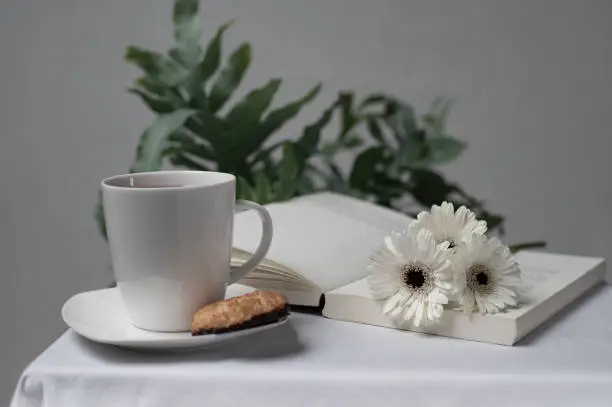 Ready to take a break. On the table the cookies and coffee are waiting. Gerbera's on a book give it a nice look.