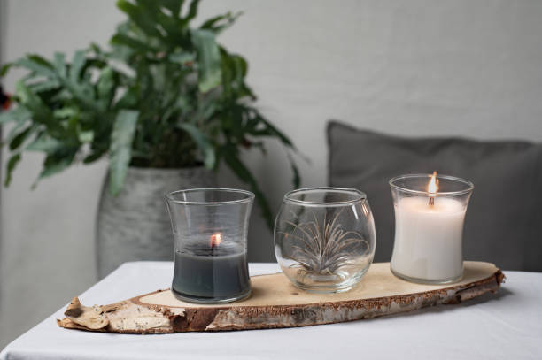 istock Still life with candles and plants 1702337013