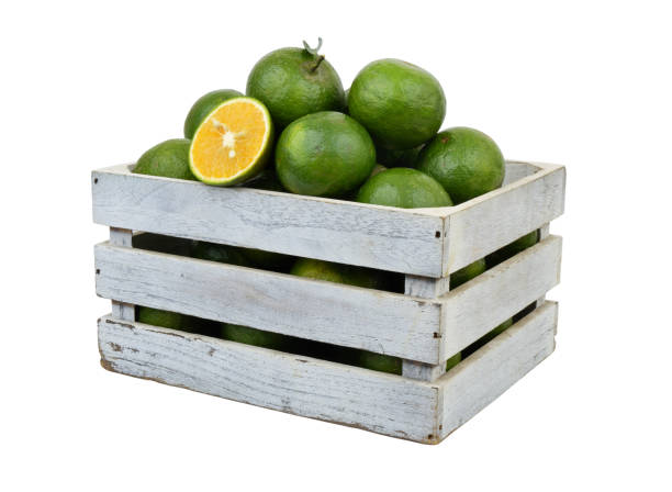 istock Green oranges in wooden crate isolated on white 1702345521