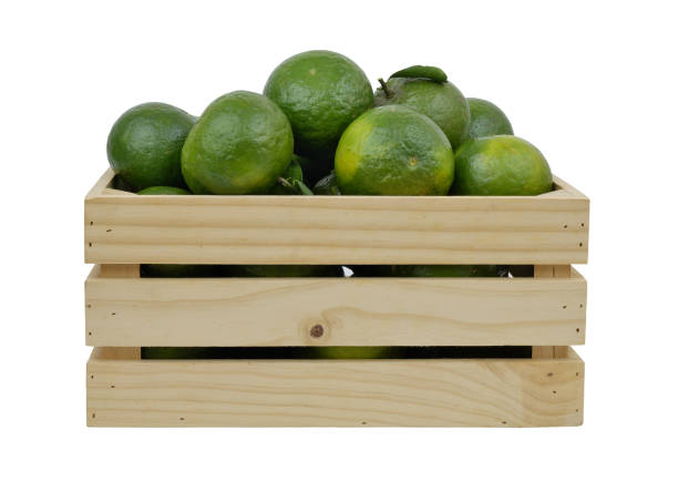 istock Green oranges in wooden crate isolated on white 1702345537