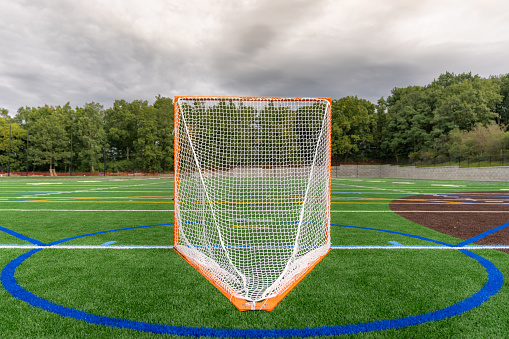 Lacrosse goal on a synthetic turf field with dramatic clouds.