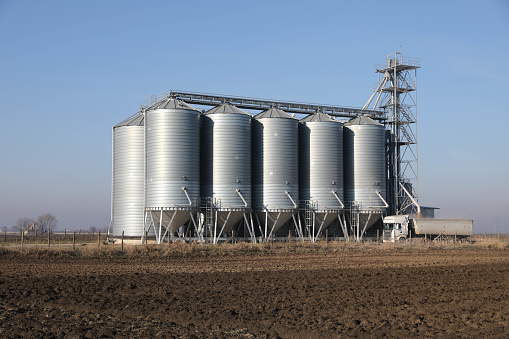 four silver silos in corn field with clouds