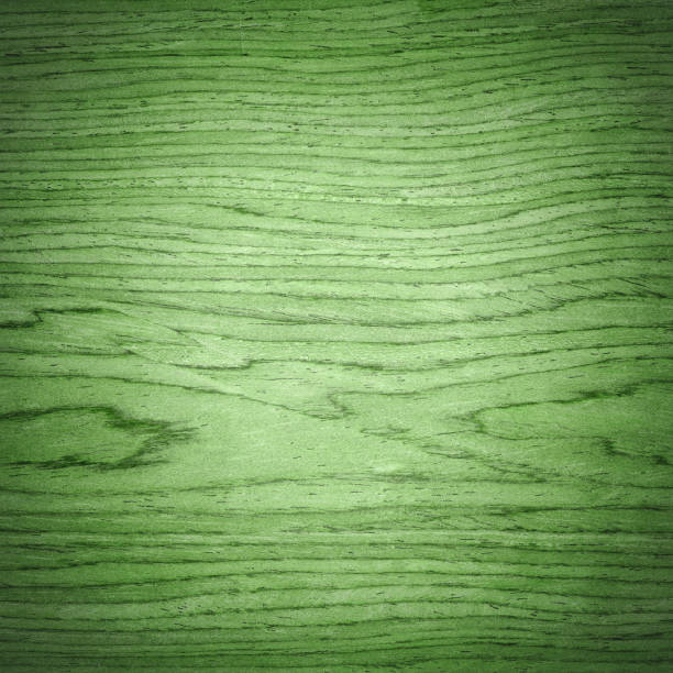 green sperrholz holz textur hintergrund - wood birch wood grain textured stock-fotos und bilder