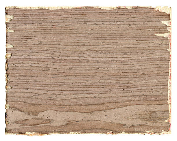 istock Cracked plywood wood textured background 170235431