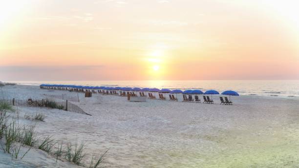 istock Beach Sunrise with Umbrellas-Hilton Head, South Carolina 1702357490