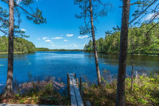 istock Beautiful view from a small lake in Sweden 1702359497