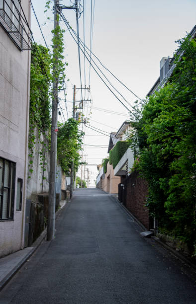 istock Residential area on a slope 1702377365