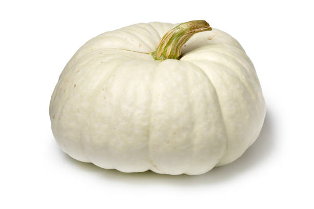 istock Single whole fresh Flat White Boer Pumpkin isolated on white background 1702386067