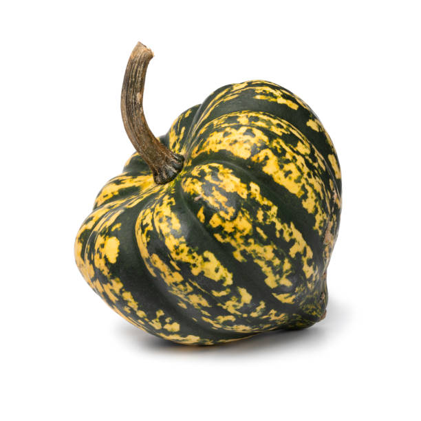 istock Single whole fresh Acorn Squash isolated on white background 1702389000