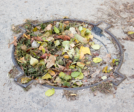 Photo of an old sewer manhole without a cover, covered with autumn leaves. Old sewer hatch.