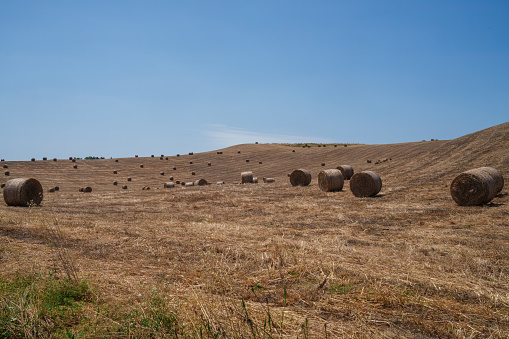 Hay bales with distant wind farm in rural Alberta Canada