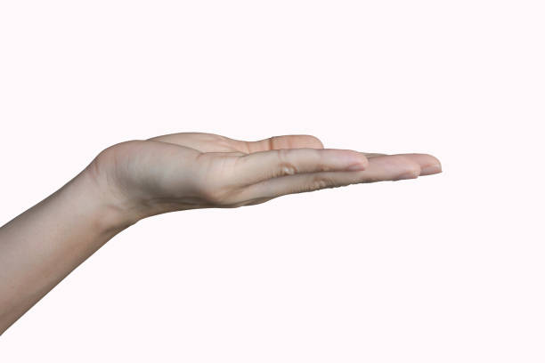 istock The woman's hand presents something isolated on a white background. 1702424945
