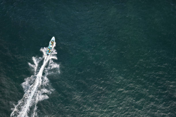 istock Fisherman boat move fast in green sea 1702447728