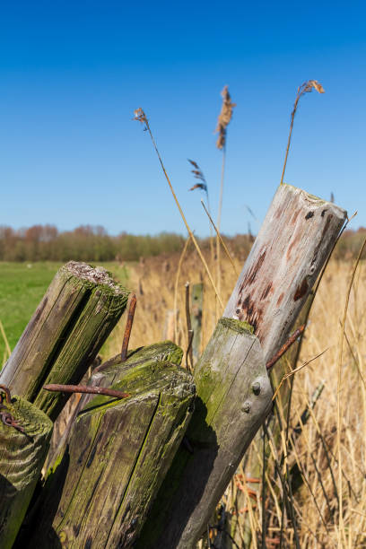 Rustic wooden pole fence stock photo